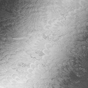 Image for choice number 16