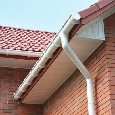 Image for choice number 7